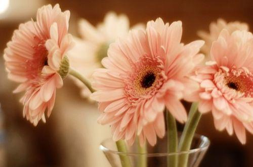 朋友圈里最火的人生感悟语录