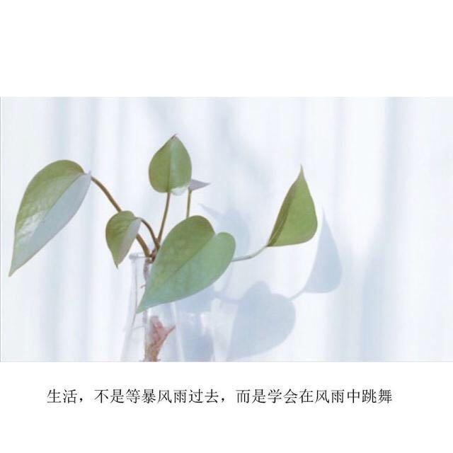 这组微信朋友圈经典语录要火了