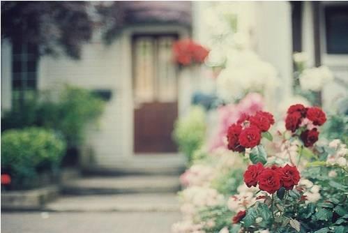 人啊,有钱,别得瑟;没钱,别堕落 人啊,有钱,别得瑟;没钱,别堕落