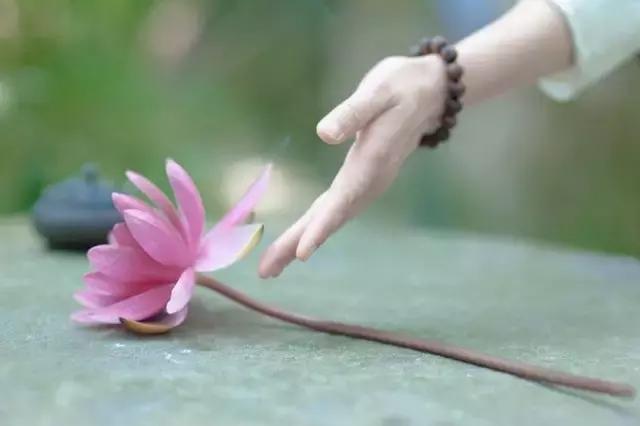 在岁月里做一个懂得的人 在岁月里做一个懂得的人