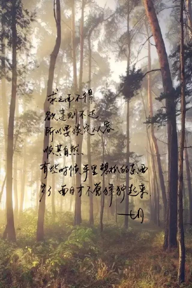 人的一生该这样度过