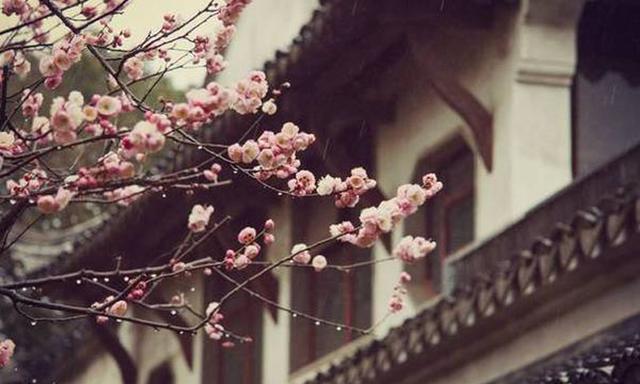 人生感悟：缘来如花开，缘去如水断