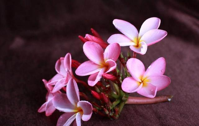 人生感悟：只要心不走在绝路上，生活也终不会给你绝路走