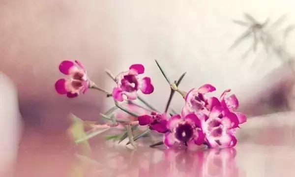 明天开始,善待身边每一个人 明天开始,善待身边每一个人