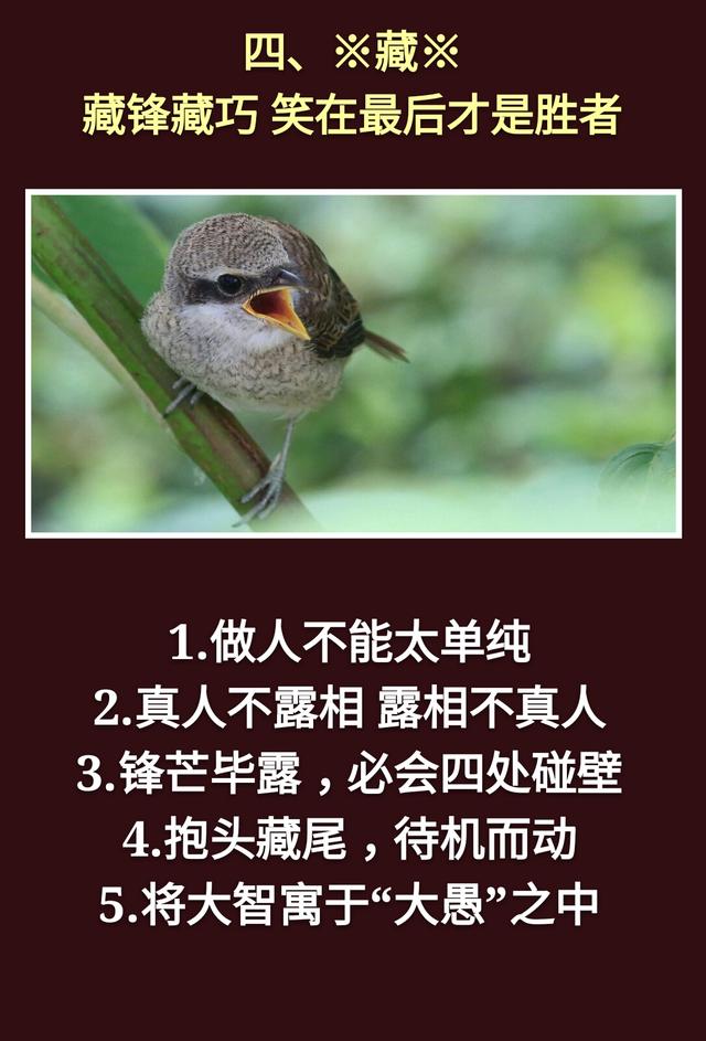 为人处事：一孝，二忍，三稳，四藏，五变，六防，七退