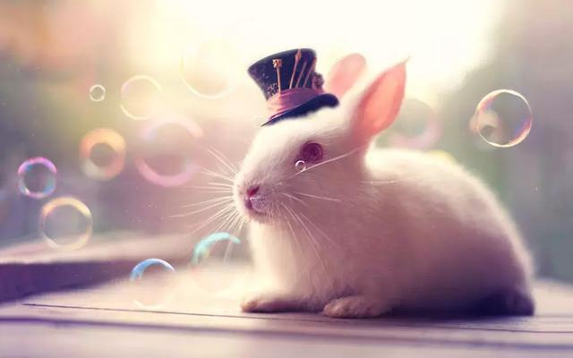 现在的我,害怕过年 现在的我,害怕过年