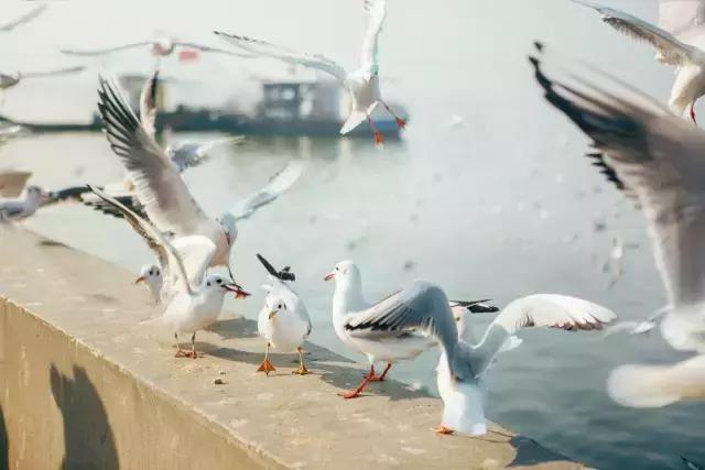 七月再见,八月你好 七月再见,八月你好