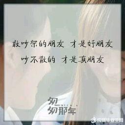 九夜茴经典语录