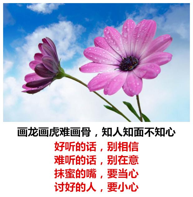 别人骂你，你别听；别人夸你，你别信