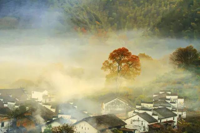 人生有三样东西不该挥霍