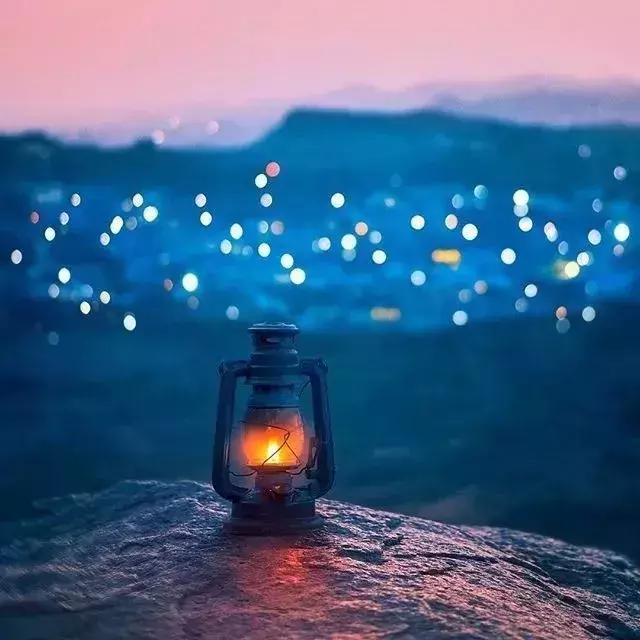 懂得低头，不是认输