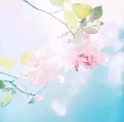淡而不厌