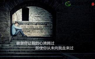 寇乃馨老师的经典语录