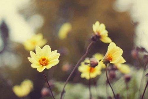 朋友圈充满正能量的情感语录