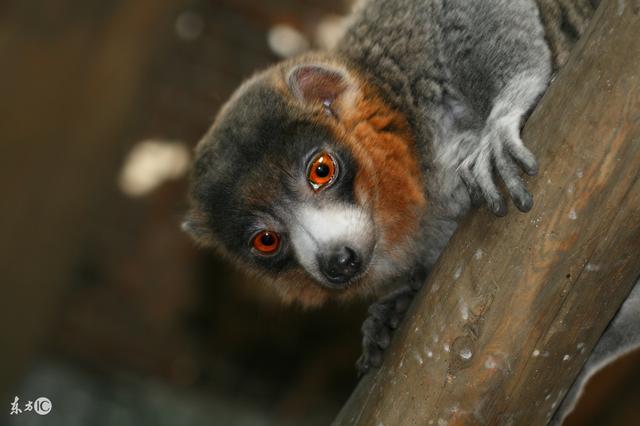 机会是给马上行动，懂得坚持的人准备的