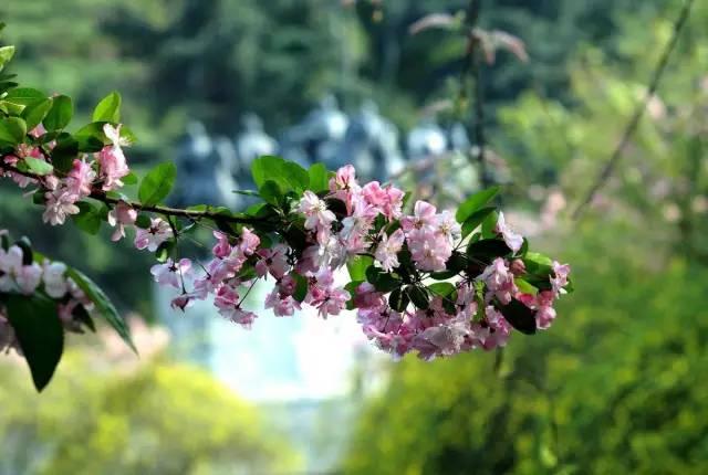 生命不是用来寻找答案的