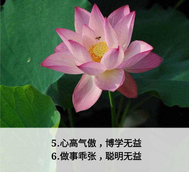放下面子做人，但不可弯腰