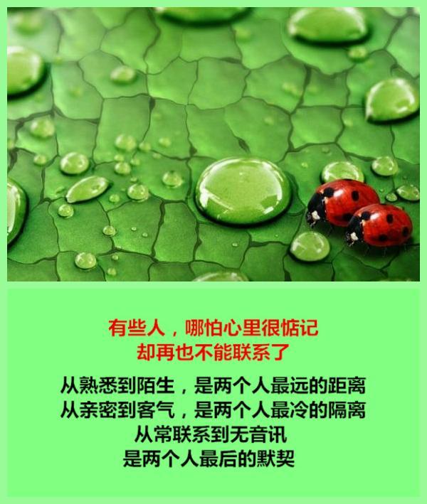 有些人，再也不能联系了