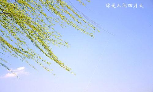 林徽因《你是人间的四月天》十大经典语录