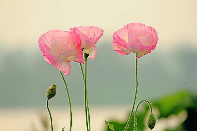 不想跌倒的最好办法