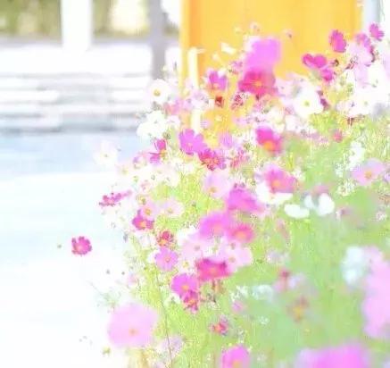 每一次不幸、每一次失败、每一次心痛都会孕育同样或更大的成功