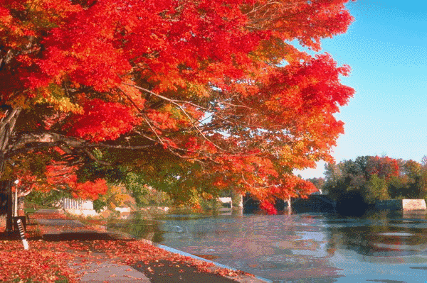 非常经典的人生感悟(写的真好) 非常经典的人生感悟(写的真好)