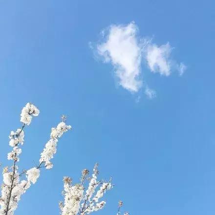 一沙一世界，一花一天堂，无限掌中置，刹那成永恒