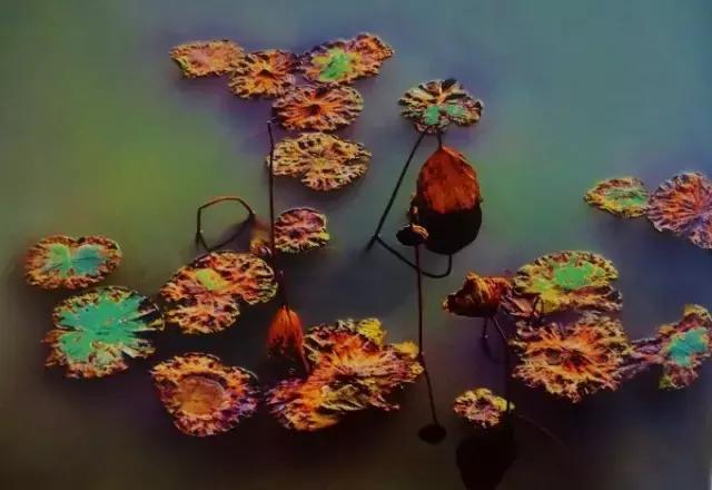 人生之大境界：心如莲花，念如菩提