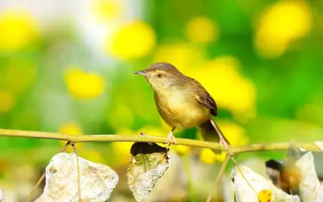生命，只有这一次（经典）