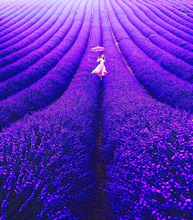 让激情沸腾，让理想丰满，让心儿寻回自由