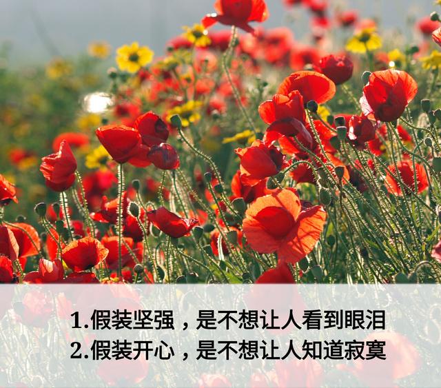 放下面子做人，但不可弯腰