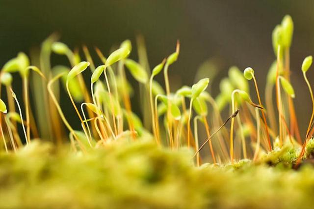 学会放弃，不是放屁（精辟）