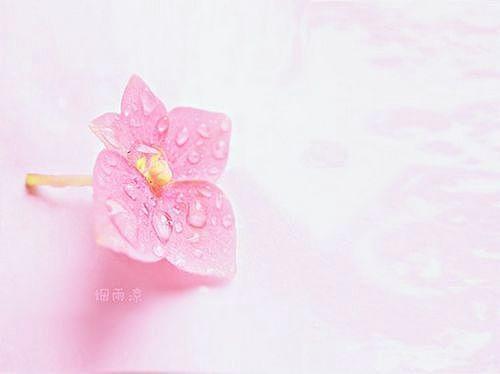 生活就是，生下来，活下去
