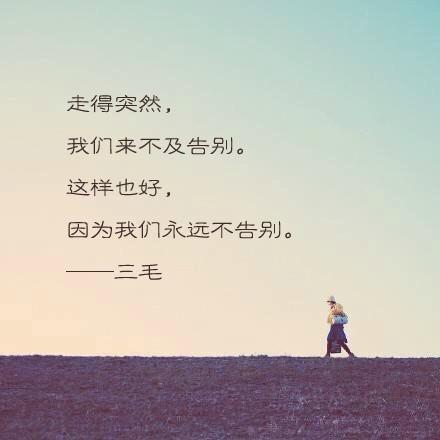 经典三毛语录