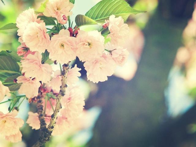 感动人心的10句唯美语录