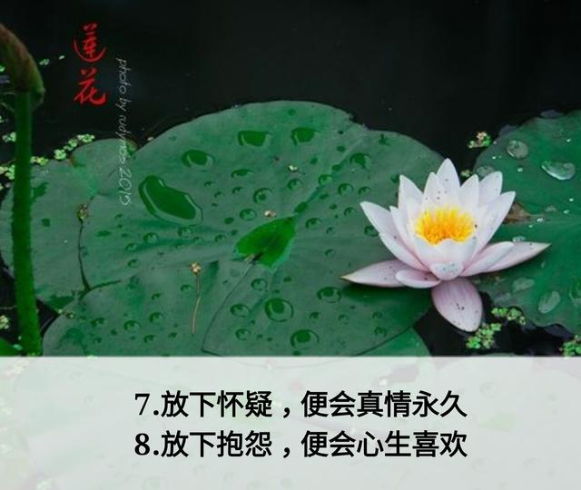 放下面子做人，但不可弯腰