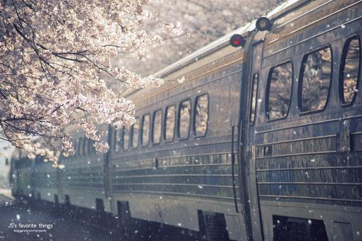 感动人心的10句唯美语录