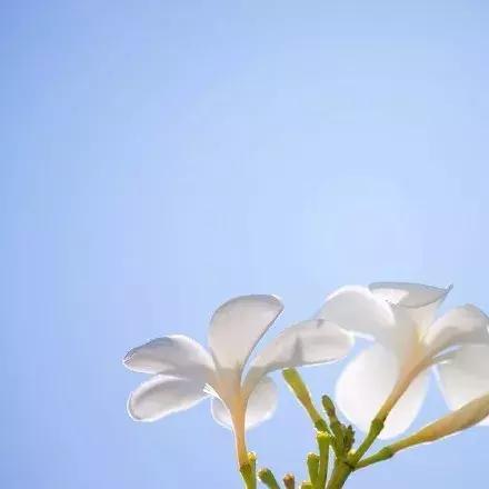 一沙一世界，一花一天堂，无限掌中置，刹那成永恒