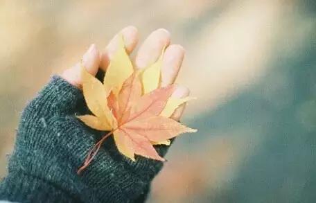 岁月静美当如秋