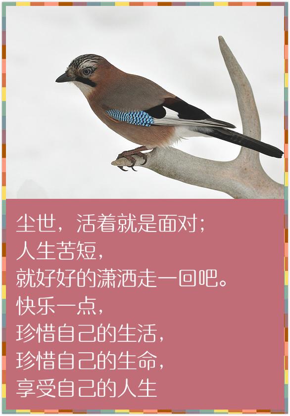 人生在世，除了生死，都是小事（精辟到骨子里）
