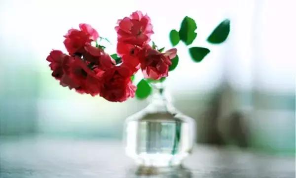 我们，不年轻了