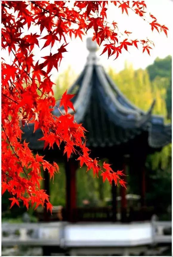 左右了情绪，才能使我们的人生美妙无比