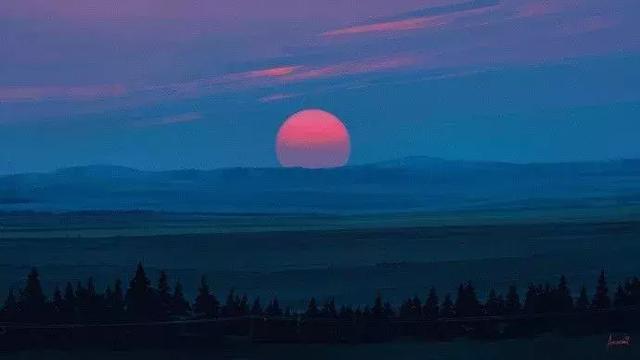 心软是致命的脆弱，我懂，却仍拼命效忠