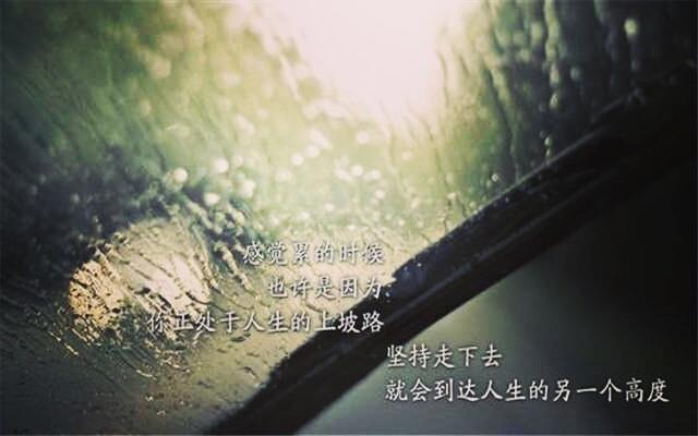 不倒翁虽不会摔倒，但也不会前进