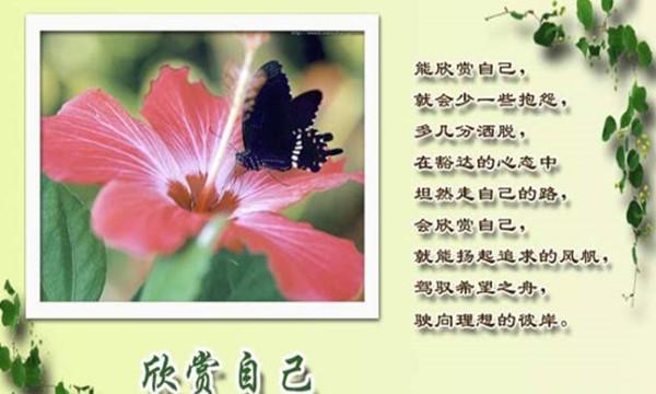 人生没有完美，幸福没有满分