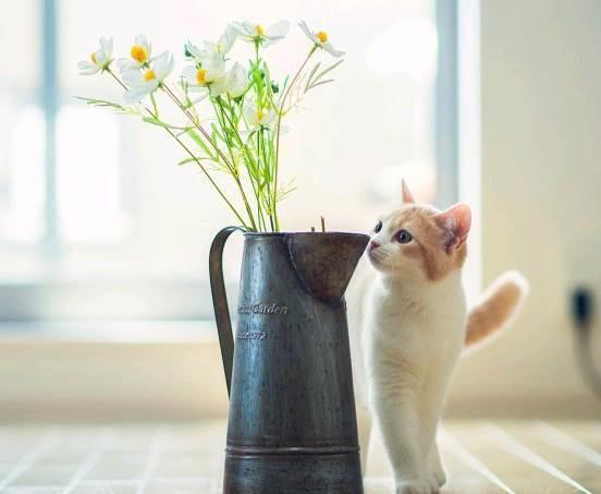 文艺范经典人生感悟图片说说短语 文艺范经典人生感悟图片说说短语