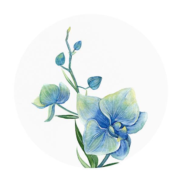 人生苦短，想开，看开，然后放开