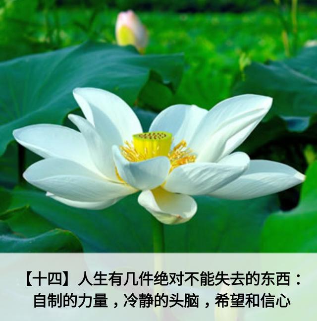 人生应该谨记的金言