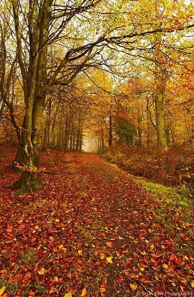 比尔·盖茨:生活是不公平的,要去适应它 比尔·盖茨:生活是不公平的,要去适应它