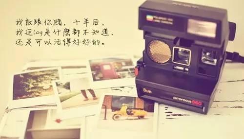 没有受过伤的人，才会讥笑别人身上的伤痕
